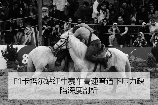 ka-ta-er-zhan-hong-niu-sai-che-gao-su-wan-dao-xia-ya-li-que-xian-shen-du-pou-xi-2-615.jpg